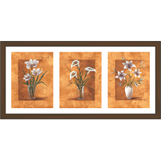 Floral Art Paintings (FHT-922)